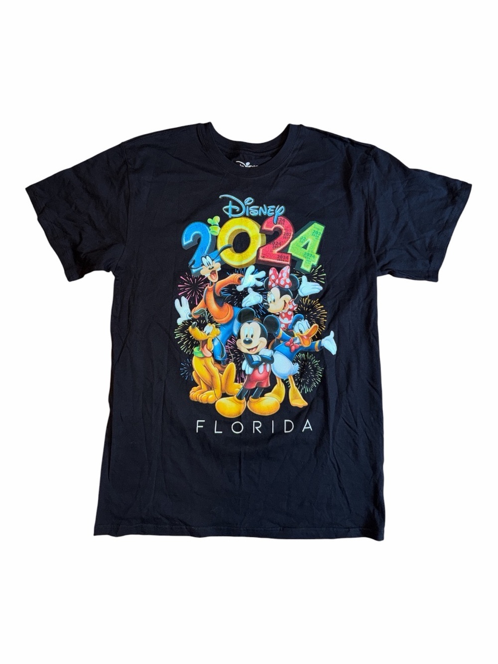 Disney Black 2024 Florida Character Graphic Tee - Picture 2 of 4